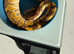 Royal pythons for sale