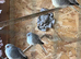 Dimond doves