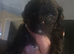 Beautiful shihpoo puppies looking for there forever homes
