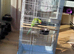 Parrot ring nick with cage