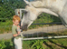 Really Smart Thoroughbred Gelding