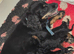 Beautiful F1 Cockapoo Puppies Ready to View Licenced Domestic Breeder