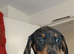 Dachshund puppies