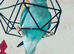 Baby blue tamed ring neck talking parrot