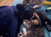 2 tabby kittens