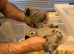 Selling handreared baby African greys