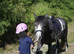 11.2hh 4 yr old mare lead rein