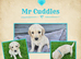 Stunning F1 Goldendoodles - Holiday Care Available