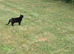 New home for luna.