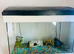 125 litre Fish tank