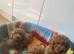 Cavapoo male puppies ready for new homes