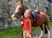 Beautiful 12.2h Pony