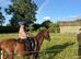 13hh Project pony.