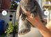 French lop last one of the litter