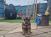 Frenchbulldog male