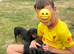 Miniature Dachshund Puppies