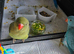 Violet Green Hand reared baby ringneck