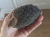 2 unsexed quail