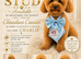 Stud KC Toy Poodle Extensively health tested