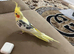 Beautiful silly tame cockatiel for sale