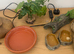 Vivarium