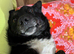 NERO – From Frozen & Forgotten to Faithful & Loving