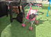 2 Boy Kittens