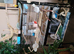 3 budgies 2 male 1 female flying cage accessories