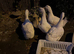 Ducks for free