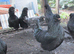 Araucana hatching eggs ( Large, tailed) Blue, blue/green.