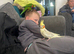 fully tammed lorkeet