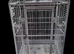 Large parrot cage