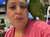 Amazon parrot