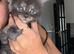 XL russian maine coon