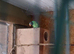 Slatey-Headed Male Parakeet