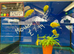 Yellow Labs (Labidochromis caeruleus)
