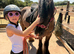 Ride and drive gelding