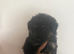 8 beautiful German shepherd pups
