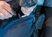 Ferrets for sale