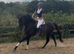 The Rising Star For The ROR Circuit