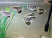 Group Of Six Clouded Archer Fish For Sale