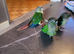 Conure