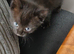 1 little boy