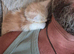 Baby Maine Coon Floofs