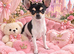 XXS chihuahua little girls very tiny only 1kg