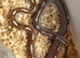 Caramel motley het palmetto corn snake