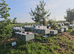Spring 2026 National Nucs, bee nucs.