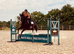 15.3H TB Mare ex Racer excellent manners 17 years