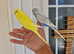 Super silly hand tamed baby budgies
