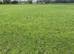 Grass livery available L40 Ormskirk